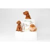 Nature's Protection Superior Care Raudona Coat begrūdis su lašiša Adult Small Breed 10 kg, suaugusių, mažų veislių raudonkailių šunų sausas begrūdis pašaras su lašiša