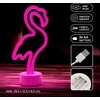 Neon LED ant stovelio Flamingas rožinė USB-C FSC-11 Forever Light