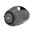 Nešiojamasis garsiakalbis PNI FunBox BT600, su Bluetooth, 65W, MP3 grotuvas, kortelių skaitytuvas, USB, belaidis mikrofonas, 4400mAh baterija, IPX4