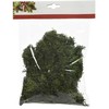 Kwiatydonice Decorative moss. 50g