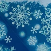 Christmas Decoration LANGŲ LIPDUKAS 30×42 CM 7550000
