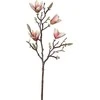Uniglob Nežinomas Dirbtinė gėlė, magnolija Splendid Magnolia, 59 cm
