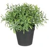 Nežinomas Dirbtinis augalas vazone, vaistažolės Splendid, 20 cm