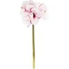Nežinomas GĖLĖ DIRBTINĖ PL8000120 66CM 2 DIZAINAI