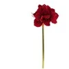 Nežinomas GĖLĖ DIRBTINĖ PL8000120 66CM 2 DIZAINAI