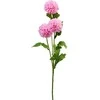 Nežinomas ŠAKA DIRBTINĖ PL4100640 75CM 4 DIZAINAI