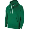 NII Men’s Nike Team Club 20 Hoodie žalias CW6894 302