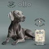 OLLO Pure Arklys Mono – šlapias šunų maistas – 850g