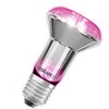 Osram Lemp LED augalams 1300K E27 7.5W 140lm