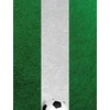 Other Brand Nexgen Skins with 3D effect for iPad 2/3/4 (Soccer Field 3D)