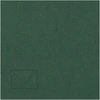 Paper Poetry Dekoratyvinis vokas Artoz C7, 110x75mm, 100g, tamsiai žalios spalvos, 1vnt