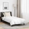 Patalynės komplektas 2-in-1 Antklodė su pagalve 2 pcs Balta Plunksna