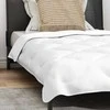 Antklodžių rinkinys su pagalve 2 vnt. Balta Mikropluoštas