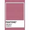 Patalynės komplektas Carruzzo Bed cov. set solid powder sateen 145×205