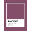 Patalynės komplektas Carruzzo Bed cover set sateen plum 145×205