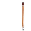Pavadėlis Zolux LEATHER LINED, šviesiai ruda, 1 m