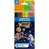 PIEŠTUKAI SPALVOTI BIC COSMO 12SPALVŲ