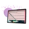 Planšetinis kompiuteris Lenovo Idea Tab 11" Wi-Fi 8GB/128GB Luna Pilkas