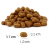 Kačių Maistas - PLATINUM MeatCrisp Suaugusiųjų Žuvies 1.5kg Be Gluteno
