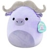 Squishmallows – 30 cm pliušinis P22 – „Jaguar“ (227674)