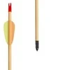 Poe Lang Ek Poe Lang Target Wooden 30″ D-027A-B1 Medinės strėlės 5 vnt.