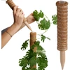 ProGarden Kokosinė augalų atrama 30 cm