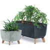 Prosperplast Kvadratinė gėlinė su betono efektu 24x24 cm