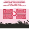 PUPIL Premium Junior Large and extra large breeds Rich in jautiena – sausas Maistas šunims – 12kg
