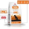 PUPIL Premium Light&Senior Medium and large breeds Rich in kalakutiena ir ryžiai – sausas Maistas šunims – 12kg