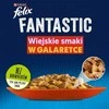 Purina Nestle PURINA FELIX FANTASTIC Mix Country Skonis 120x85g
