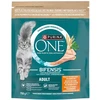 Purina Nestle One Bifensis Adult Rich in vištiena – sausas kačių maistas – 750g