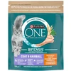Purina Nestle One Bifensis Coat & Hairball Rich in vištiena – sausas kačių maistas – 750g