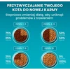 Purina Nestle One Bifensis Sensitive Rich in kalakutiena – sausas kačių maistas – 750g