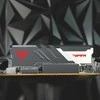 Atminties modulis Patriot Viper Venom DDR5 16GB (1x16GB) 6000MT/s (PVV516G60C30)