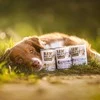 Vetexpert Drėgnas Šunų Maistas - RAW PALEO Monoproteinas Antiena 400g