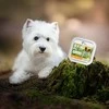 Vetexpert Drėgnas Šunų Maistas - RAW PALEO Mini Suaugusiųjų Jautiena 150 g
