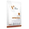 Vetexpert VET EXPERT Veterinary Diet Intestinal Cat - šlapias kačių ėdalas - 100 g