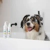 Gyvūnų Kondicionierius - VetExpert Clinic Care Hypo &amp; Omega 150 ml Šunims ir Katėms