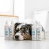 Gyvūnų Šampūnas - VetExpert Clinic Care microBiome Balance 250 ml Šunims ir Katėms
