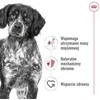 Royal Canin SHN vidutinio dydžio suaugusių šunų pašaras BF 4kg