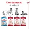 Royal Canin SHN vidutinio dydžio suaugusių šunų pašaras BF 4kg