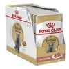 Royal Canin British Shorthair šlapias maistas katėms, 12 x 85 g