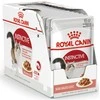 Royal Canin Instinctive in Souce šlapias maistas katėms, 12 x 85 g