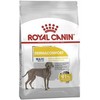 Royal Canin Maxi Dermacomfort Sausas Maistas šunims, 12 kg