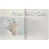 Sąsiuvinis Bruno Visconti A5, Polar Bear Cub, 5x5 langeliais, 48 lapų