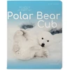 Sąsiuvinis Bruno Visconti A5, Polar Bear Cub, 5x5 langeliais, 48 lapų