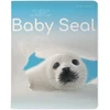 Sąsiuvinis Bruno Visconti A5,Baby Seal, 5x5 langeliais, 48 lapų
