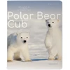 Sąsiuvinis Bruno Visconti Polar Bear Cub 3, A5, langeliais, 48 lapų