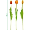 Saska Garden oranžinių tulpių puokštė, 39 cm