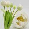 Saska Garden balta tulpinė bijūnė puokštė 39 cm